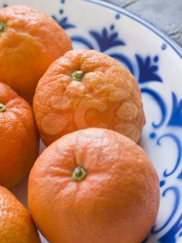 Royalty Free Photo of Seville Oranges