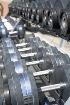 Royalty Free Photo of a Row of Dumbbells at a Gym