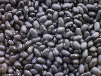 Royalty Free Photo of a Closeup of Black Turtle Beans