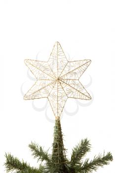 Royalty Free Photo of a Star on a Tree