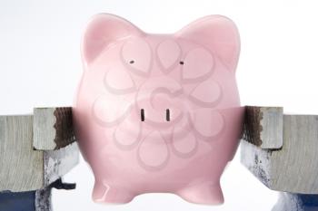 Royalty Free Photo of a Piggy Bank in a Vice