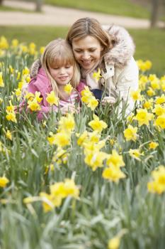 Royalty Free Photo of a Mother and Daughter in the Daffodils