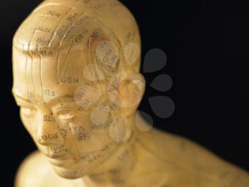 Royalty Free Photo of Meridian Lines on an Acupuncture Figure