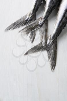 Royalty Free Photo of Fish Tails