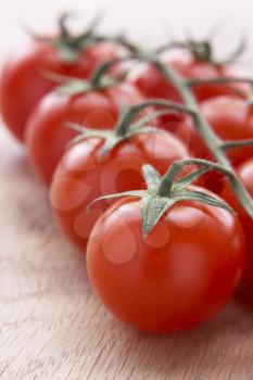 Royalty Free Photo of a Vine Tomatoes