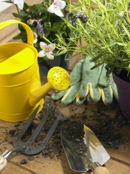 Royalty Free Photo of a Watering Can and Trowel Next to Plants