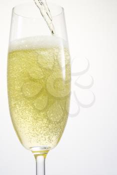 Royalty Free Photo of a Champagne Flute