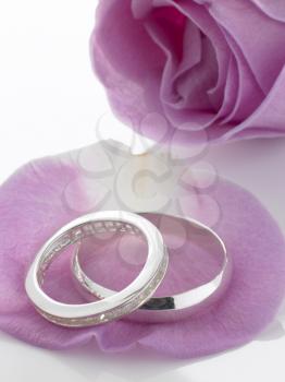 Royalty Free Photo of Wedding Rings on Rose Petals
