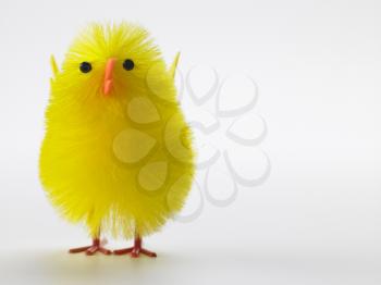 Royalty Free Photo of a Toy Chick