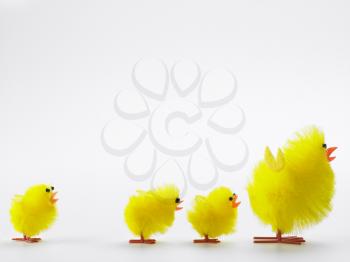 Royalty Free Photo of Family of Toy Chicks for Easter