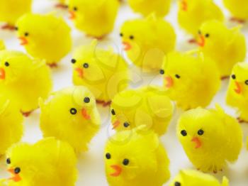Royalty Free Photo of Easter Chicks