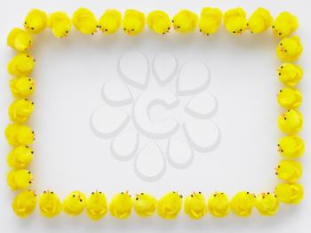 Royalty Free Photo of Easter Chicks in a Square