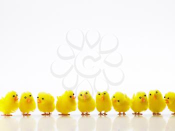 Royalty Free Photo of Toy Chicks in a Row