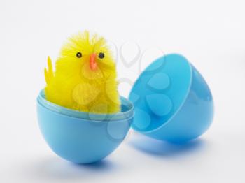 Royalty Free Photo of a Chick in a Plastic Egg