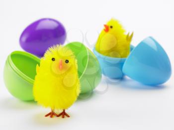 Royalty Free Photo of Easter Chicks in Plastic Eggs