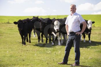 Royalty Free Photo of a Farmer With Cows