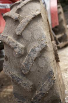 Royalty Free Photo of a Tractor Tire