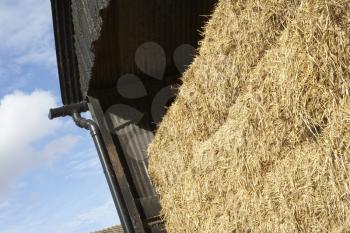 Royalty Free Photo of Hay Bales in a Barn