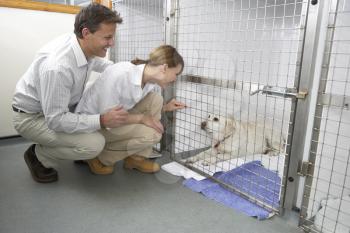 Royalty Free Photo of a Couple Visiting a Dog in a Kennel