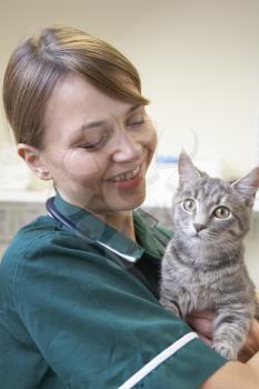 Royalty Free Photo of a Veterinarian Nurse With a Cat