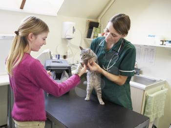 Royalty Free Photo of a Girl Bringing a Cat to a Vet