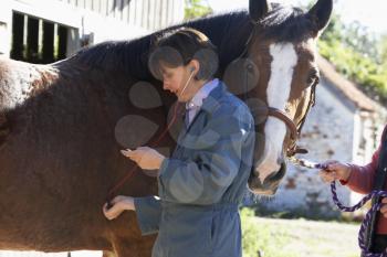 Royalty Free Photo of a Vet Examining a Horse