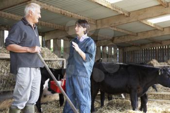 Royalty Free Photo of a Farmer Talking to a Vet
