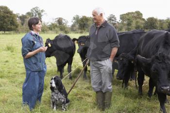 Royalty Free Photo of a Vet With a Farmer and His Cattle
