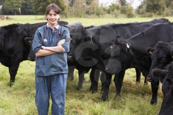 Royalty Free Photo of a Vet With Cattle