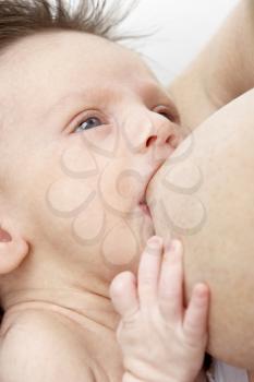 Royalty Free Photo of a Woman Breastfeeding
