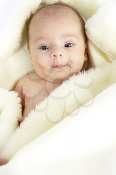 Portrait Of Baby Girl Wrapped In Sheepskin