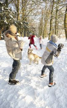 Family Having Snowball Fight In Snowy Woodland