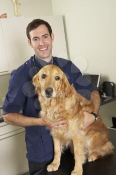 Male Veterinary Surgeon Holding Dog In Surgery