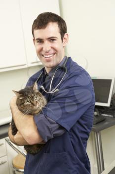 Male Veterinary Surgeon Holding Cat In Surgery