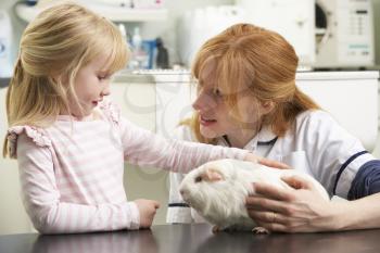 Female Veterinary Surgeon Examining Child's Guinea Pig In Surgery