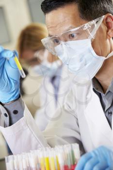 Male Scientist Studying Test Tube In Laboratory
