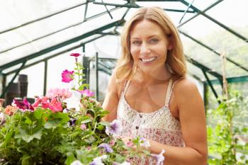 Woman Growing Plants In Greenhouse