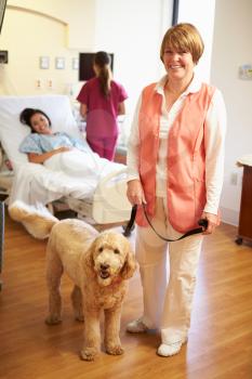 Portrait Of Pet Therapy Dog Visiting Female Patient In Hospital