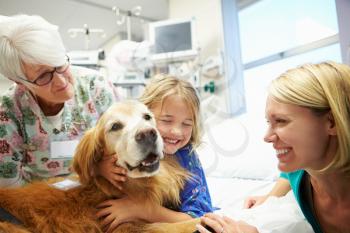 Young Girl Being Visited In Hospital By Therapy Dog