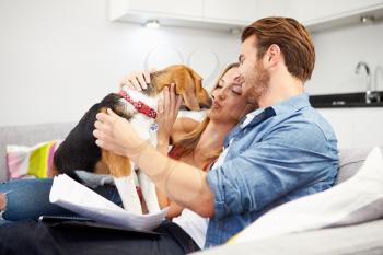 Couple Looking Through Personal Finances At Home With Dog