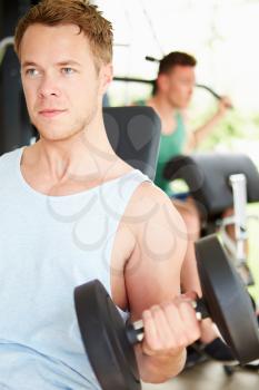Two Young Men Training In Gym With Weights