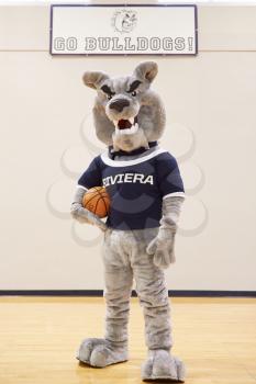 High School Mascot For Basketball Team