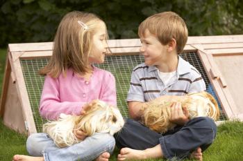 Young boy and girl in garden holding guinea pigs