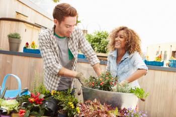 Mixed Race Couple Planting Rooftop Garden Together