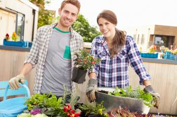 Mixed Race Couple Planting Rooftop Garden Together