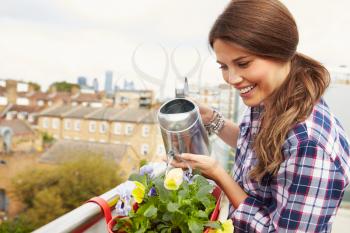 Woman Watering Plant In Container On Rooftop Garden