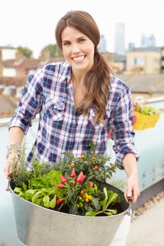 Woman Holding Container Of Plants On Rooftop Garden