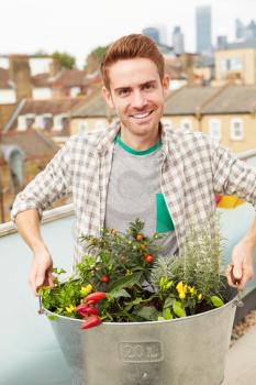 Man Holding Container Of Plants On Rooftop Garden