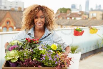 Woman Holding Box Of Plants On Rooftop Garden