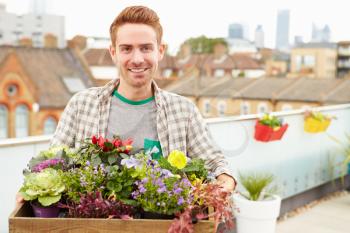 Man Holding Box Of Plants On Rooftop Garden